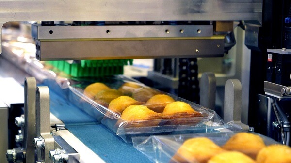 Băng tải thực phẩm trong sản xuất thức ăn nhanh