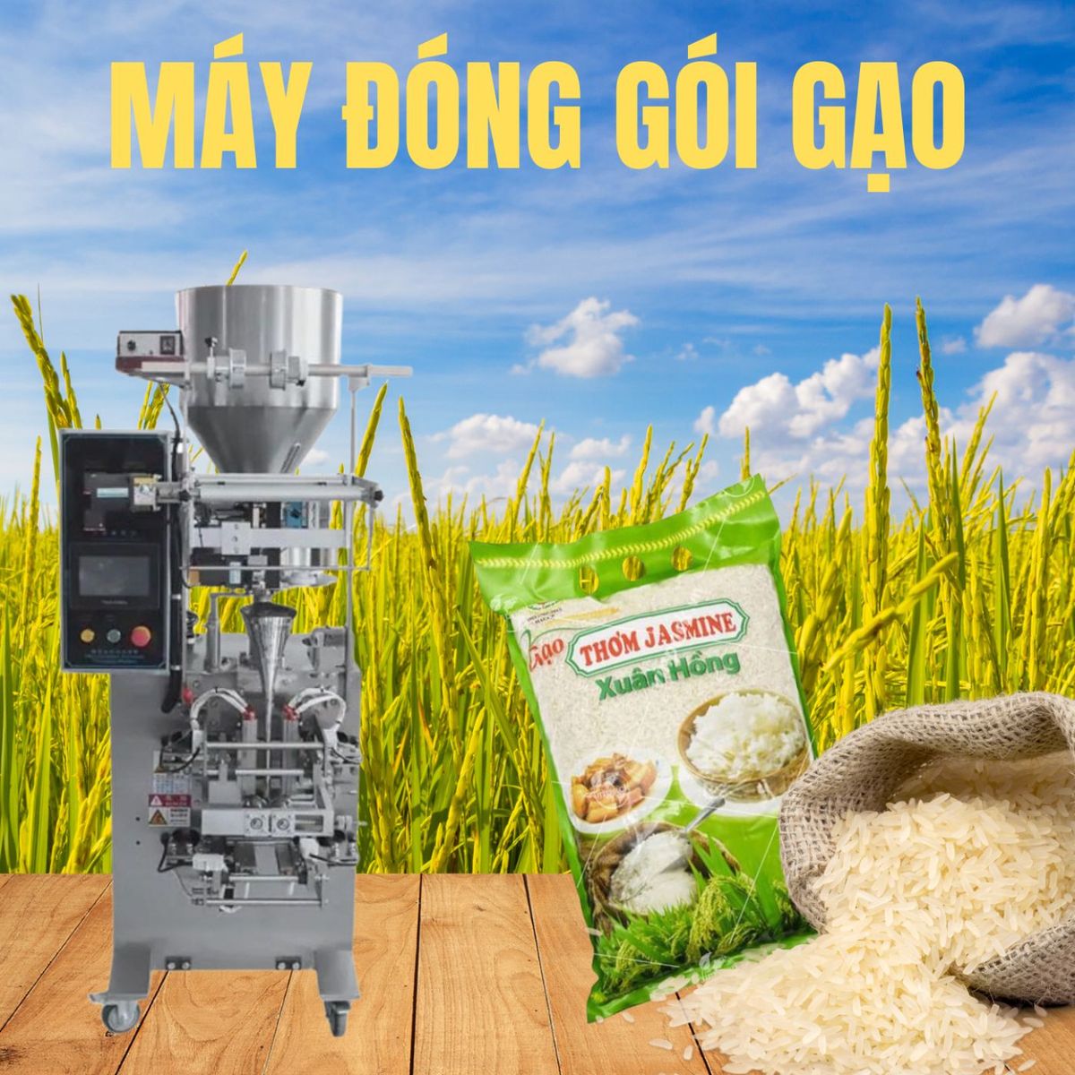 Máy đóng gói gạo tự động
