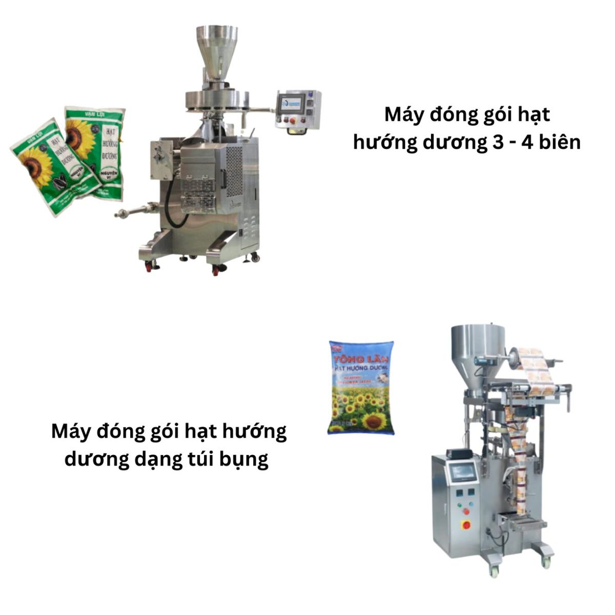 Máy đóng gói hạt hướng dương tại Samori