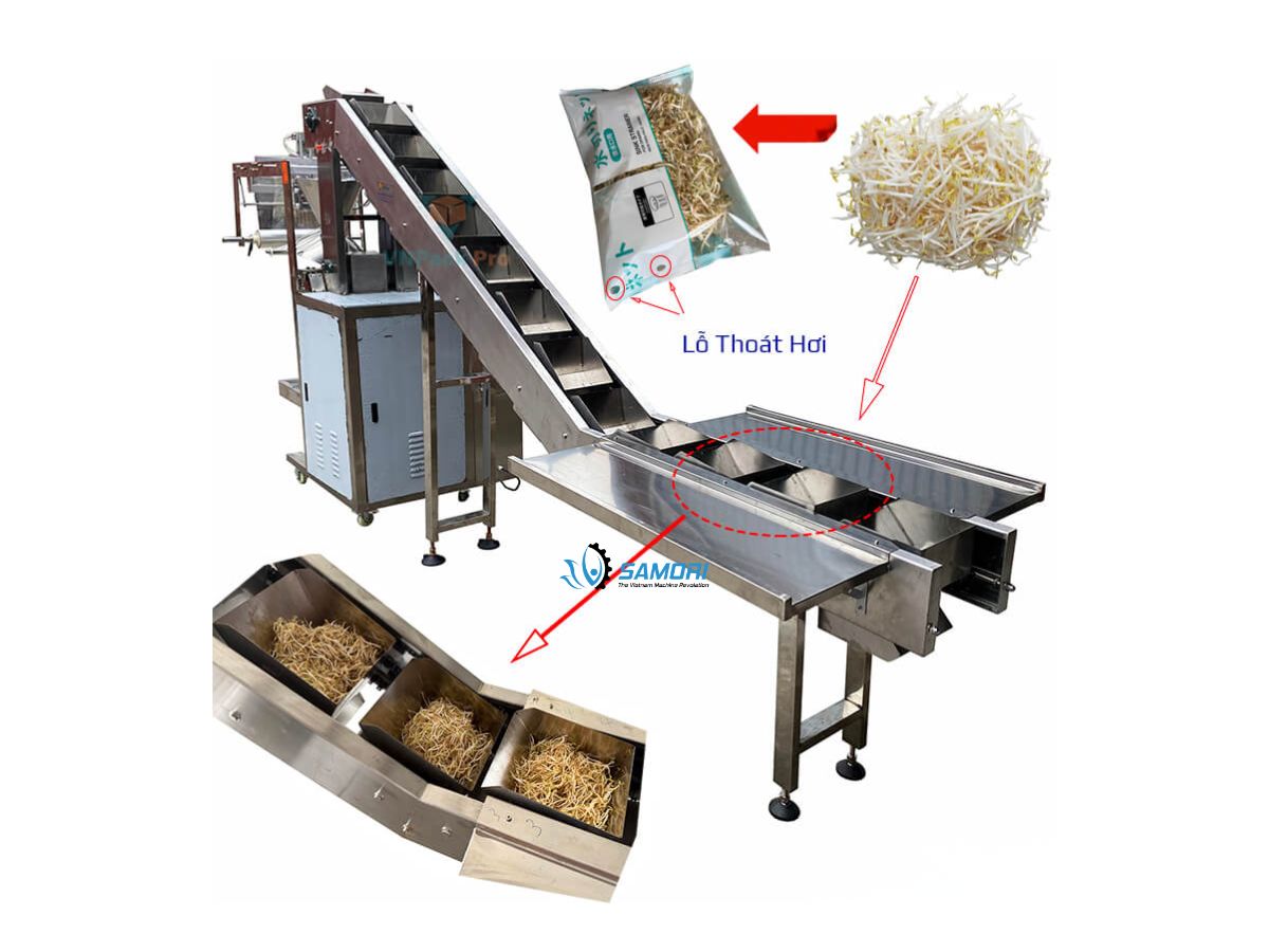 Nhà máy sản xuất máy đóng gói giá đỗ uy tín